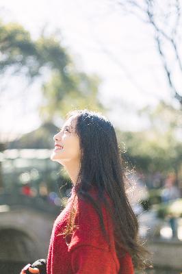 精英律师电视剧全集免费观看